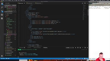 VueJS | Lvl 5 23 v if and v else on basket
