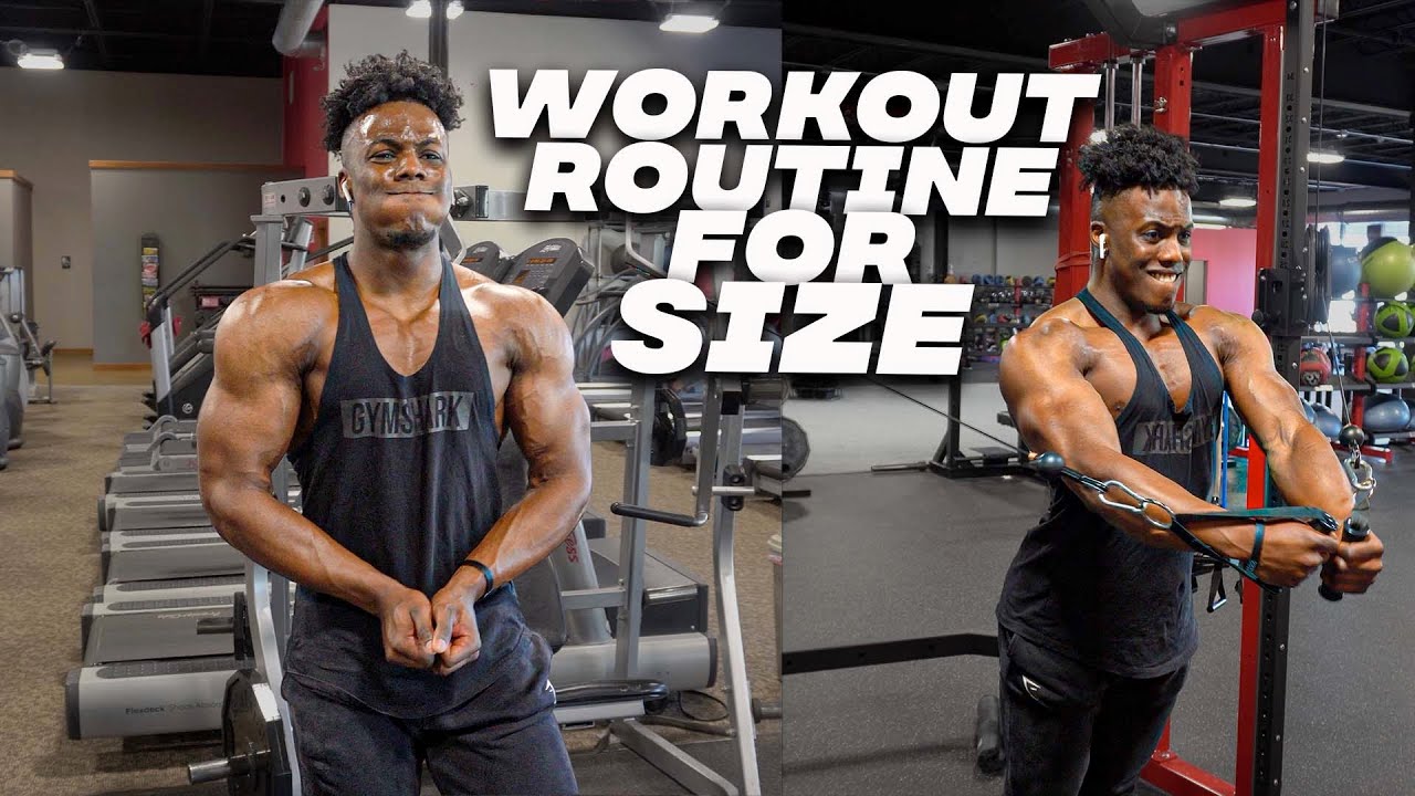 MY TRAINING SPLIT TO BUILD LEAN MUSCLE EXPLAINED - YouTube