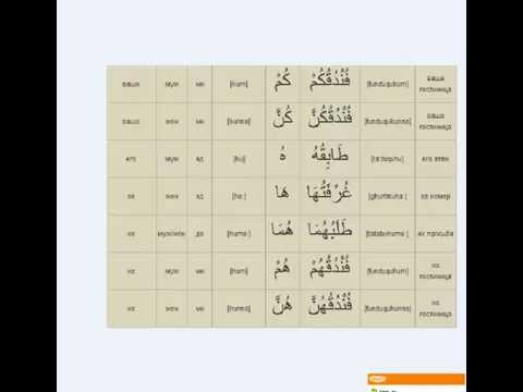 № 12  Местоимения в арабском языке Теория