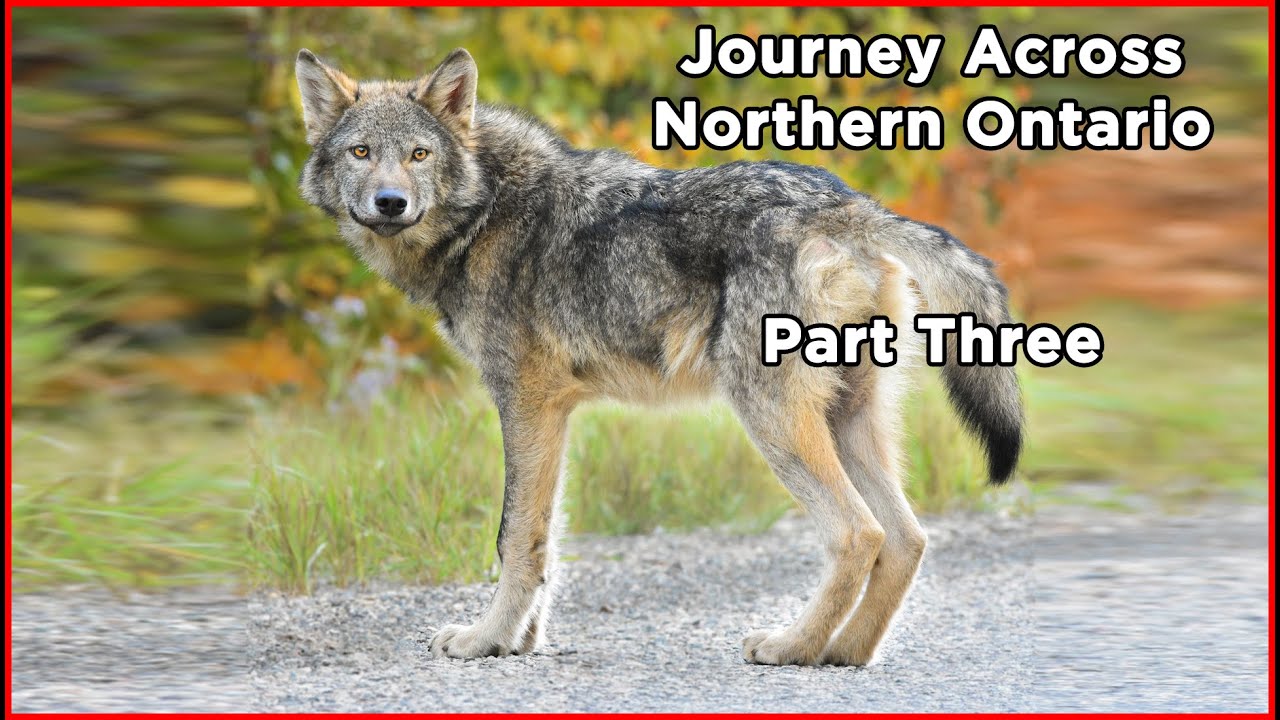 Journey Across Northern Ontario | Part Three of a Road-trip Exploring Northern Ontario