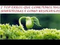 7 Erros que cometemos Nas Sementeiras e Como Resolve-los!