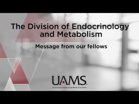 Message from our Endocrinology fellows