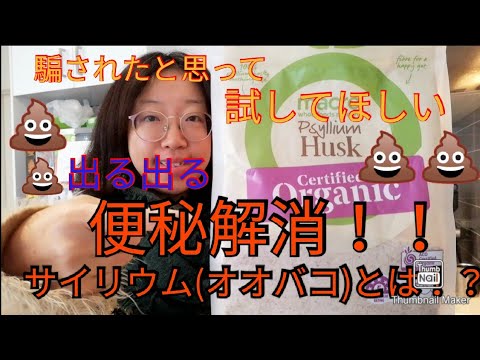 【便秘に悩まされている方必見】サイリウムダイエット【Psyllium husk】