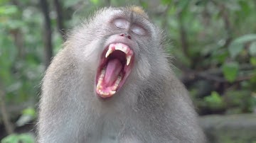 As Faces Change, So Do Needs – Nature’s Lesson #DifferentFacesDifferentNeeds