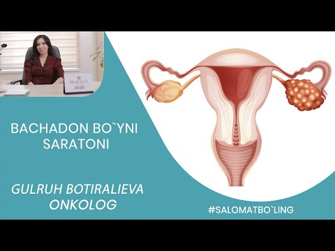 Video: Mushuklardagi Bachadon Saratoni