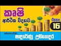 16 - vii කෘෂි ආර්ථික විද්‍යාව / Agricultural Economics  (නව විශය නිර්දේශය / සිද්ධාන්ත ඒකකය)