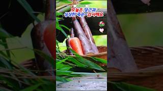 🎄죽뚜니앤🥕 즐기자푸바오 #푸바오실시간 #푸바오근황 #판다월드 #에버랜드 #아이바오 #러바오 #루이바오 #후이바오 #강바오 #송바오