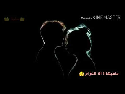 سامر طالب يارا بحبك انا حااااالات واتس اب حالات حب