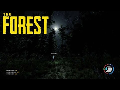 watershed The Forest | #8 | The Love Shack