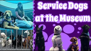 Science Museum Service Dog Meet Up!