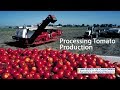 Processing Tomato Production in California