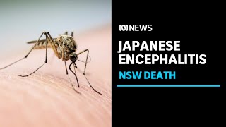 A second person in Australia dies from Japanese encephalitis | ABC News