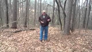 Beard Hunter Turkey Calls Double Sided Friction Call