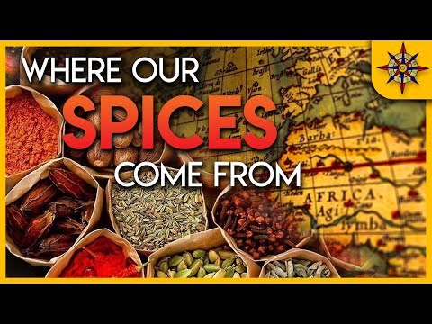 Video: Kas yra pikantiškas bazilikas – sužinokite apie „Spicy Globe“baziliko žoleles