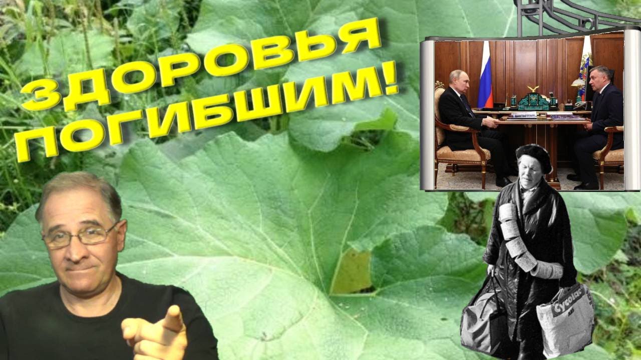 Мария Санчес Пуиг