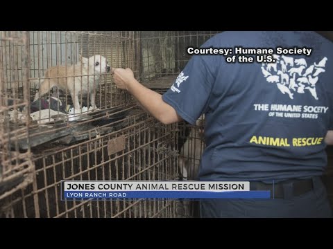 Jones County Animal Rescue