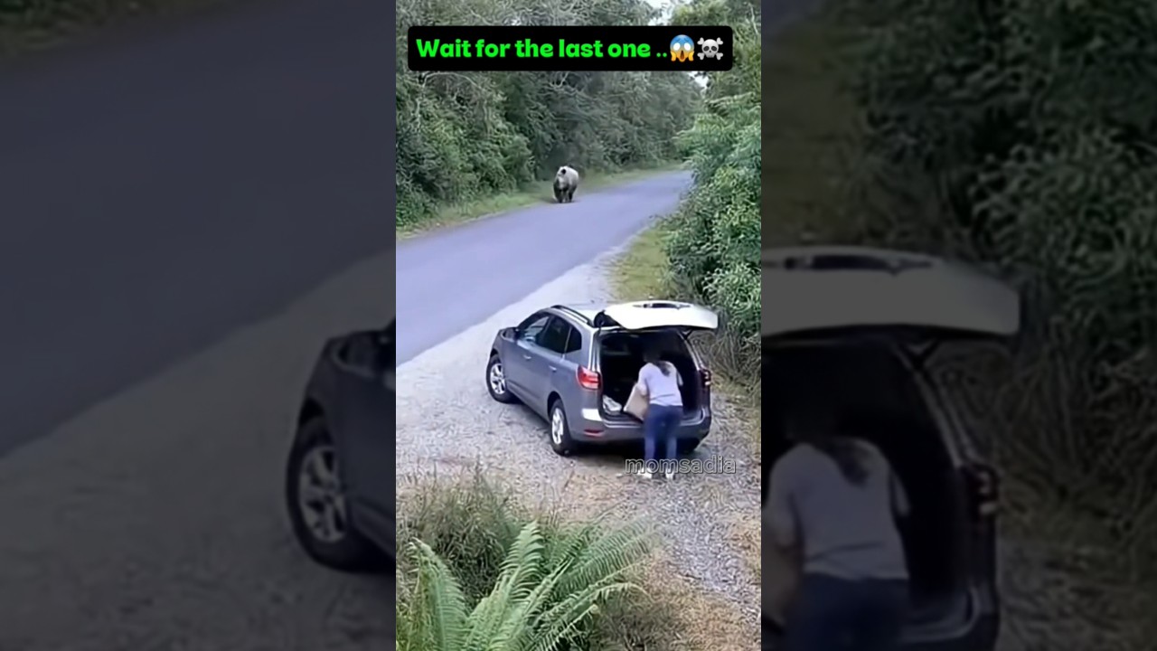 What do you think of it? It's fascinating.😱 