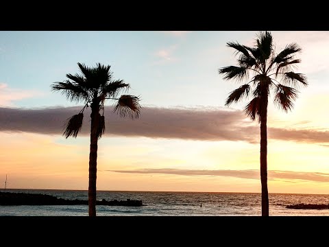 Wideo: Jak wybrać plażę Portoryko