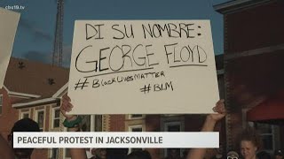 Hundreds of protesters participate in march in Jacksonville