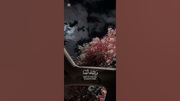 (ربنا عليك توكلنا ) سورة الممتحنة | القارئ محمد هشام حسن