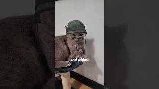 Ex-Soldier Raids Animal Shelter for His Cat 🪖 #catfacts #animals #animalfacts #youtubeshorts #shorts