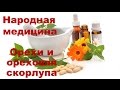 Лечение орехами и ореховой скорлупой