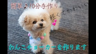 【わんこチョーカー】簡単１０分で完成♪軽くてかわいい♡１００均チュールでリボン＆蝶ネクタイ