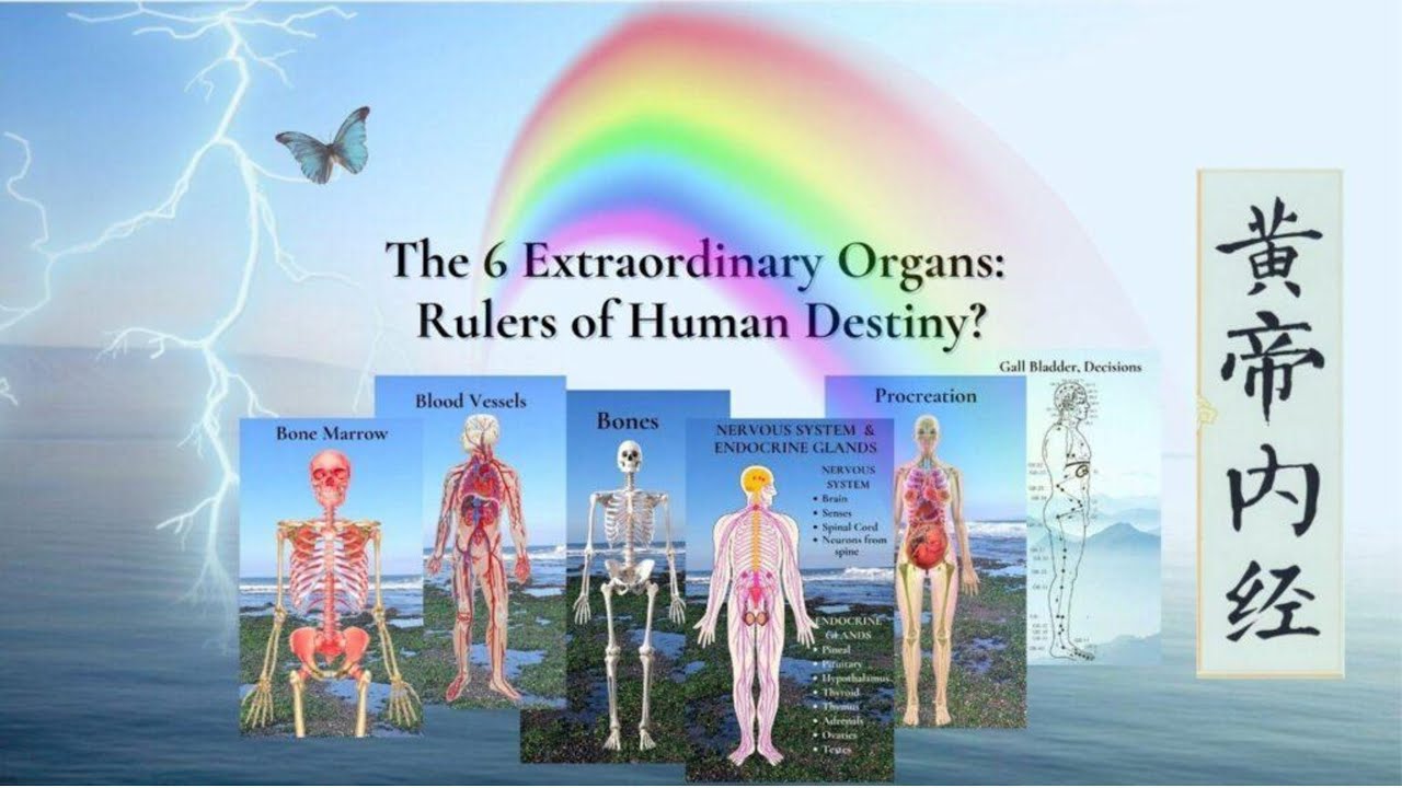 TCM FOUNDATIONS REVIEW #10 Extraordinary Fu Organs