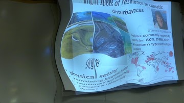 Vulnerability and resilience of marine ecosystems and fisheries to multiple stressors