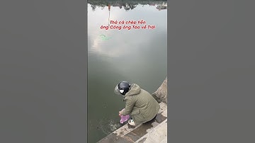 Nhộn nhịp không khí thả cá chép đưa ông Công ông Táo về trời tại Ninh Bình I Ninh Bình Hôm Nay