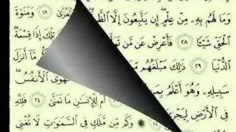 53 سورة النجم تلاوة الشيخ ماهر المعيقلي مع الآيات