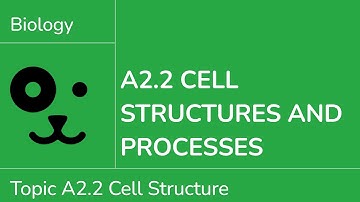 A2.2 Cell Structures and Processes [IB Biology SL/HL]