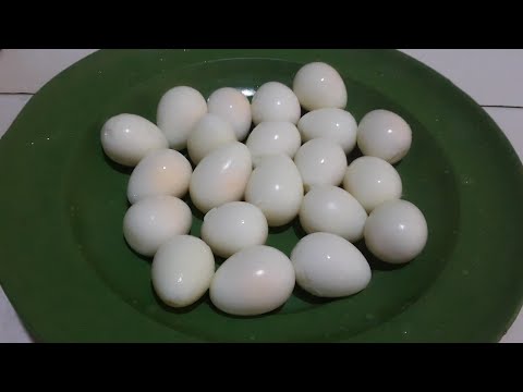 Cara merebus telur puyuh. 
