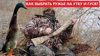 👍 💥 ВЫБОР РУЖЬЯ НА ВОДОПЛАВАЮЩУЮ ДИЧЬ