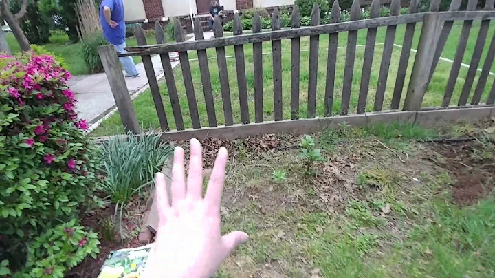 My new garden plot!