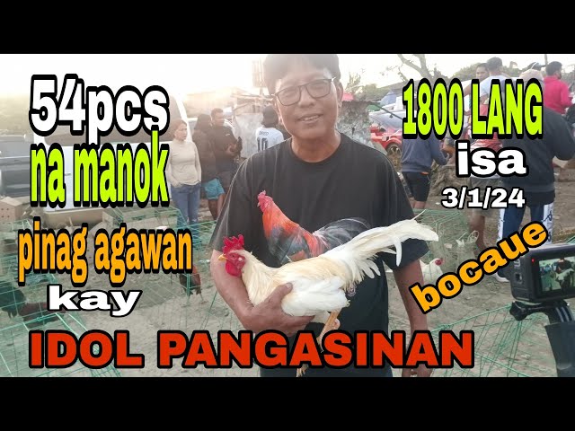 IDOL PANGASINAN BOSS REY MABABA MAGBENTA 54PCS NA MANOK KONTI NALANG NATIRA class=