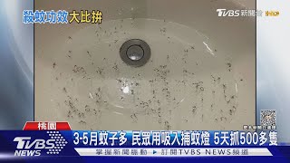 35月蚊子多 民眾用吸入捕蚊燈 5天抓500多隻TVBS新聞@TVBSNEWS01