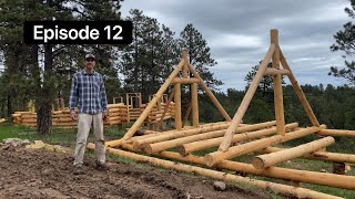 Building a Log Cabin Solo! Episode 12