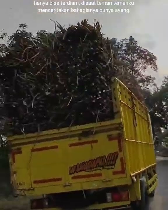 story wa truk tebu balap #shorts #story #quotes #trukbalap