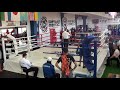 Прямая трансляция Турнир WhiteLotos Chanpionship BOXING 2020. 4 октября 2020.