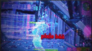 Aint Nobody Business Ft. Pinq Fortnite Highlights