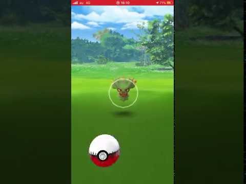 ポケモンgo 色違いムウマ出現 シンオウのいしでムウマージに進化まで 長さ 0 48 動画ニュース