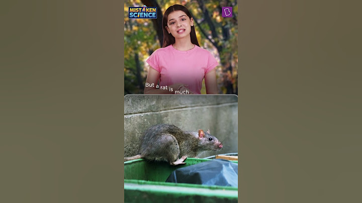 Is This Is A Mouse Or A Rat? | BYJU'S Mistaken Science #shorts