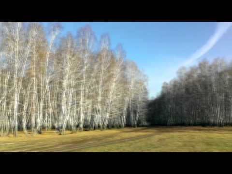 Video: Nature of Kuzbass: kepelbagaian flora dan fauna, mineral, keindahan alam sekitar dan ulasan dengan foto