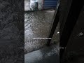 ভাই আল্লাহর সাথে যত পাপ থাকে থাক। এটা সেজদার মাধ্যমে মাপ হতে পারে। #সব #campursari