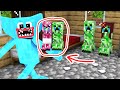 Monster School : Huggy Wuggy, Please Don't Catch Baby Creeper - Minecraft Animation