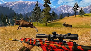 HUNTING 10 MOOSE😱 | FREE HUNT | AMERICAN MARKSMAN 