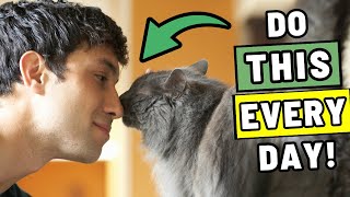 9 Things You Rarely Do for Your Cat — But Should Every Day
