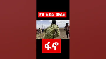 ጀግናዉ የአማራ ፋኖ በጎጃም ሙዚቃ ፈታ ሲል ፋኖ አማራ ሰበርዜና ፋኖሚድያfanomedia ድል ጎጃም ፋኖ ሰበር ሰብስክራይብ ያድርጉ እስክስታ 