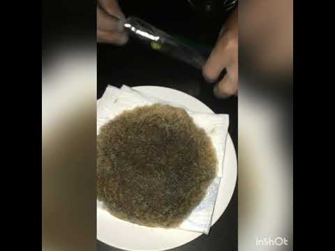 Dutch Science Nutrients Seed & Root for Germinating Cannabis Seeds